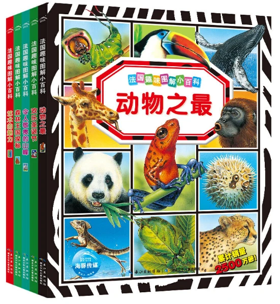 绳梯训练篮球_1